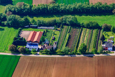 Aerial photograpy of Nursery with greenhouses at Otterbach in Vollmersweiler in the state Rhineland-Palatinate, Germany