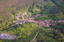 Place in the Palatinate Forest from the north in Schwanheim in the state Rhineland-Palatinate, Germany
