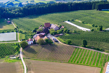 Burgenmeister and Michel fruit farms in the district Altheim in Frickingen in the state Baden-Wuerttemberg, Germany