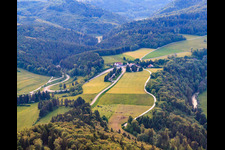 Aerial view of Mountaineering in Fridingen an der Donau in the state Baden-Wuerttemberg, Germany