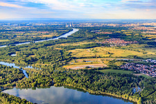 Inselwad and Illinger Altrhein in Elchesheim-Illingen in the state Baden-Wuerttemberg, Germany