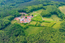 Horse boarding at Liebfrauenberg Monastery in Bad Bergzabern in the state Rhineland-Palatinate, Germany from above