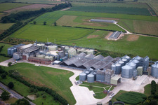 Bempton in the state England, Great Britain