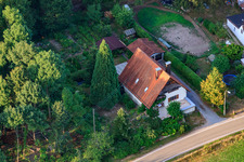 Aerial view of House on the edge of the forest in the district of Bienwaldmühle in Scheibenhardt in the state Rhineland-Palatinate, Germany