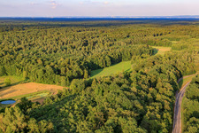 Meadow clearings near Bienwaldmühle in Scheibenhardt in the state Rhineland-Palatinate, Germany