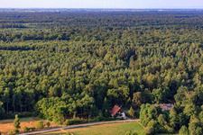 House on the edge of the forest in the district of Bienwaldmühle in Scheibenhardt in the state Rhineland-Palatinate, Germany from above
