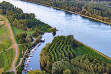 Lautermuschel at the mouth of the Lauter into the Rhine in Neuburg am Rhein in the state Rhineland-Palatinate, Germany