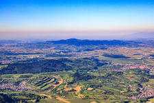 View over the forest Kenzingen to the Kaiserstuhl from the northeast in Kenzingen in the state Baden-Wuerttemberg, Germany
