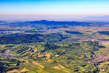 Aerial view of View over the forest Kenzingen to the Kaiserstuhl from the northeast in Kenzingen in the state Baden-Wuerttemberg, Germany