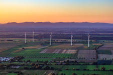 Aerial photograpy of Wind farm Minfeld from the south in Minfeld in the state Rhineland-Palatinate, Germany