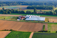 Sandhof with Rothenbücher nursery in Herxheim bei Landau in the state Rhineland-Palatinate, Germany