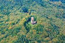 Ramburg Castle Ruins in Ramberg in the state Rhineland-Palatinate, Germany out of the air