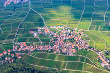 Aerial view of Wine-growing village between vineyards from the west in Weyher in der Pfalz in the state Rhineland-Palatinate, Germany