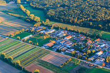 Aerial view of Industrial estate Auf d. Weide with Bora CNC and packaging technology and CK boat service in the district Niederlustadt in Lustadt in the state Rhineland-Palatinate, Germany
