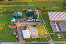 Biogas plant Lustadt in the district Niederlustadt in Lustadt in the state Rhineland-Palatinate, Germany