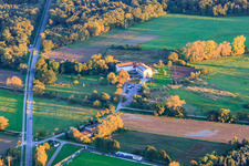Hotel Zeiskamer Mühle in Zeiskam in the state Rhineland-Palatinate, Germany viewn from the air