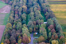Palatina Archers in Insheim in the state Rhineland-Palatinate, Germany