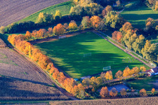 Aerial view of Football pitches of FC1924 Insheim eV in Rohrbach in the state Rhineland-Palatinate, Germany