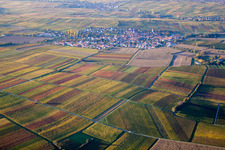 Bird's eye view of District Mörzheim in Landau in der Pfalz in the state Rhineland-Palatinate, Germany