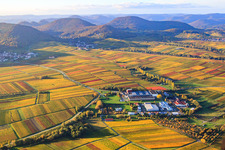 Aerial view of Large winery Kleine Kalmit / German Wine Gate in Ilbesheim bei Landau in the state Rhineland-Palatinate, Germany