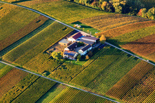 Erlenwein Winery Wacholderstraße in Ilbesheim bei Landau in the state Rhineland-Palatinate, Germany