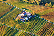 Aerial view of Erlenwein Winery Wacholderstraße in Ilbesheim bei Landau in the state Rhineland-Palatinate, Germany