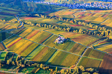 Aerial photograpy of Erlenwein Winery Wacholderstraße in Ilbesheim bei Landau in the state Rhineland-Palatinate, Germany