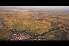 Panoramic perspective of Village - view on the edge of agricultural fields and farmland in Goecklingen in fall and evening colours in the state Rhineland-Palatinate, Germany