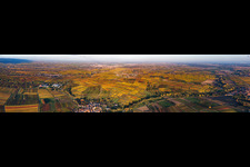 Panorama of the vineyards of the southern wine route from Heuchelheim to Landau in Göcklingen in the state Rhineland-Palatinate, Germany
