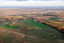 Gliding field on the airfield of DJK / Aeroclub Landau-Ebenberg in Landau in der Pfalz in the state Rhineland-Palatinate, Germany