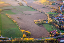 Drone recording of Landau in der Pfalz in the state Rhineland-Palatinate, Germany