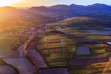 Wine village in vineyards in autumn leaves at sunset in the district Wollmesheim in Landau in der Pfalz in the state Rhineland-Palatinate, Germany