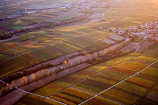Structures on agricultural fields in the district Wollmesheim in Landau in der Pfalz in the state Rhineland-Palatinate