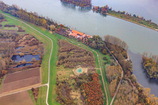 Cycle path on the Rhine dam to the Old Brickworks on the Rhine in Germersheim in the state Rhineland-Palatinate, Germany
