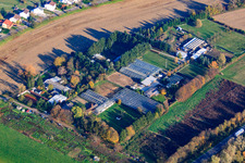 Aerial view of Weick Garden Landscaping, Cemetery Gardening in the district Huttenheim in Philippsburg in the state Baden-Wuerttemberg, Germany