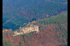 Neuscharfeneck Castle Ruins in Flemlingen in the state Rhineland-Palatinate, Germany viewn from the air