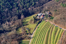 Aerial view of Sankt Annaberg Winery in Burrweiler in the state Rhineland-Palatinate, Germany