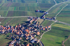 Wine Route with the parish church of the Visitation of Mary in Burrweiler in the state Rhineland-Palatinate, Germany
