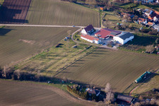 District Ingenheim in Billigheim-Ingenheim in the state Rhineland-Palatinate, Germany seen from above