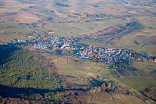 Sonnenberg Vineyard in the district Schweigen in Schweigen-Rechtenbach in the state Rhineland-Palatinate, Germany