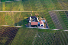 Aerial view of Erlenwein winery in Wacholderhof in winter in Ilbesheim bei Landau in the state Rhineland-Palatinate, Germany