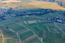 Kleine Kalmit nature reserve in winter from the northwest in Ilbesheim bei Landau in the state Rhineland-Palatinate, Germany