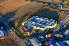 Oblique view of DBK EMS GmbH & Co. KG in the Nordring industrial park in Rülzheim in the state Rhineland-Palatinate, Germany