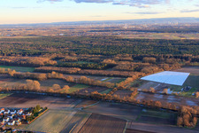 Bienwald am Klingbach, Rottenbach and Saugraben in Herxheim bei Landau in the state Rhineland-Palatinate, Germany