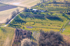 Aerial view of Tree nursery in Schweighofen in the state Rhineland-Palatinate, Germany