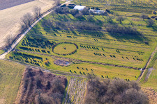 Aerial photograpy of Tree nursery in Schweighofen in the state Rhineland-Palatinate, Germany