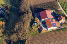 Aerial view of Winery Heinz & Thomas Beck in winter at Otterbach in Oberotterbach in the state Rhineland-Palatinate, Germany