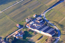 Aerial view of Emil Wissing GmbH Wissing Wines at the Almond Tree Grove in Oberotterbach in the state Rhineland-Palatinate, Germany