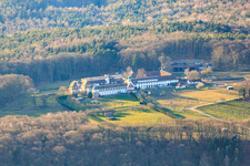 Liebfrauenberg monastery horse boarding house in Bad Bergzabern in the state Rhineland-Palatinate, Germany