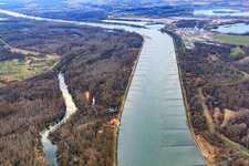 Aerial view of Altrhein Bremengrund in Au am Rhein in the state Baden-Wuerttemberg, Germany